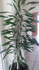 20190413_153446.webp