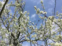 IMG_0997.JPG