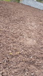 IMG-20190413-WA0023.jpeg