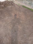 IMG_20190413_160234_4.jpg