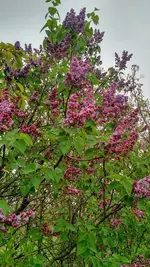 IMG_20190410_154627898_HDR.webp