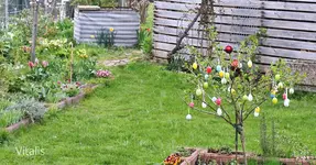 Garten im April 9.webp
