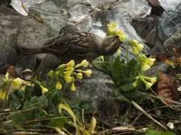 DSCF2179.webp