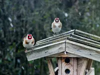 DSCF2158.webp
