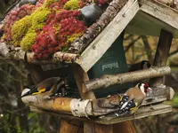 DSCF2168.webp