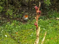 DSCF2171.webp