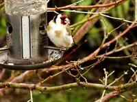 DSCF2173.webp