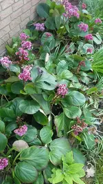 20190413_153606.webp
