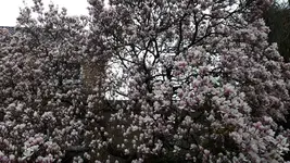 20190403_174421.webp