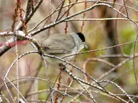 P1380641 - Kopie.JPG
