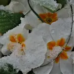 2019blmn23.webp