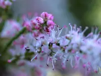 P1230265.webp