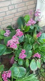 20190413_153633.webp