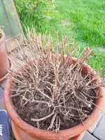 2019-04-15 19.10.55.webp