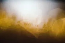 0M3A7611.webp 0M3A7611.webp