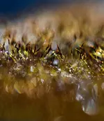 0M3A7620.webp 0M3A7620.webp