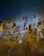 0M3A7622.webp 0M3A7622.webp