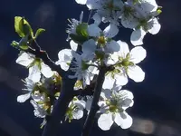 image004.webp