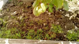 IMG_20190416_122243938.webp