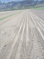 IMG_20190416_173959.webp