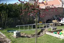 IMGP3365.webp
