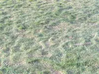 IMG-20190327-WA0005.webp