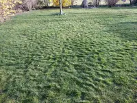 IMG-20190327-WA0007.webp