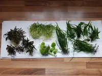 20190417_163339.webp