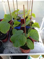 IMG_20190417_172023.webp
