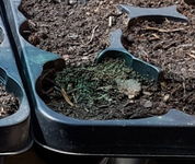 20190417_233559.webp