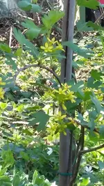20190417_142428.webp