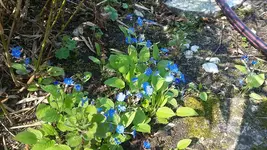 20190416_131608.jpg