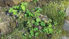 20190416_131717.webp