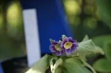 DSC07584.JPG