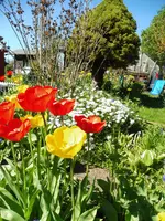 P1020123.webp