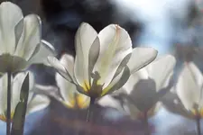 0M3A7684.webp 0M3A7684.webp