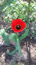 20190419_131050.webp