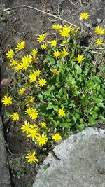 20190419_131148.webp