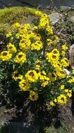 20190419_131300.webp