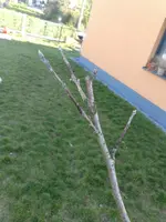 IMG_20190419_180011544.webp