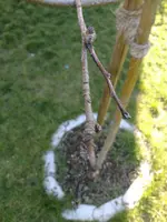 IMG_20190419_180129687.webp