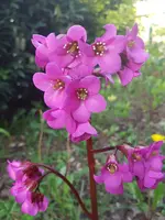 20190419_185339.webp