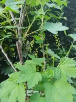 20190419_185352.webp