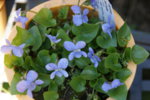 DSC07596.JPG