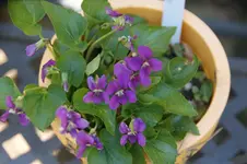 DSC07598.JPG