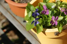 DSC07600.JPG