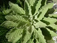 18_04_2019 (7).webp