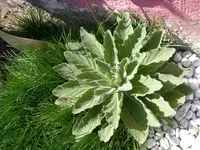18_04_2019 (8).webp
