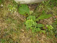 16_03_2019 (10).webp