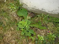 16_03_2019 (11).webp